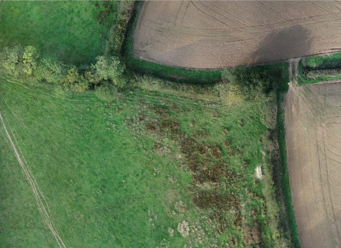 Drone orthomosaic of a field with overgrown vegetation and surrounding farmland